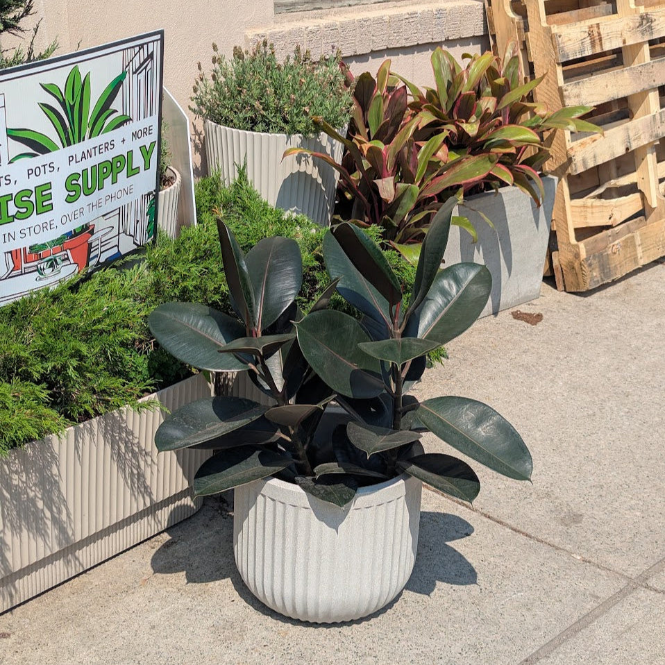 Flute Round Poly Planter in Sandstone | 12 Inch Nursery Pot — empty planter, studio photo — planter for sale by Promise Supply for delivery and pickup in Toronto.