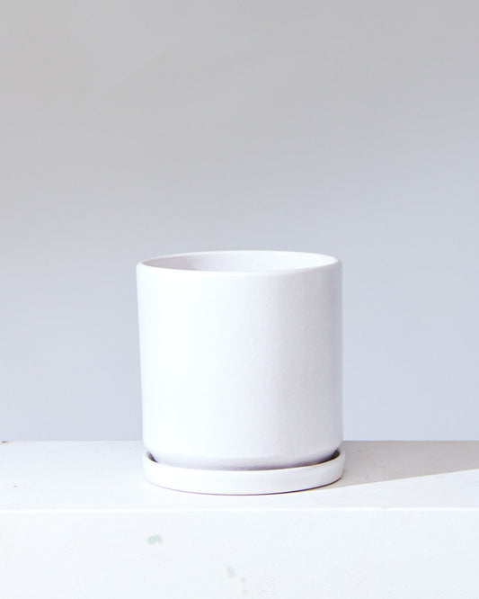 White California Pot with Drainage and Tray | 12 inch Diameter — empty planter, studio photo — planter for sale by Promise Supply for delivery and pickup in Toronto.