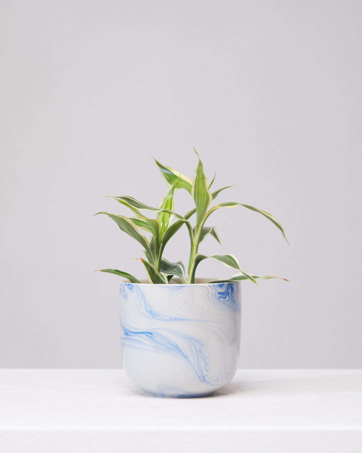 Caspian Blue Marbled Planter | 4 inch Nursery Pot
