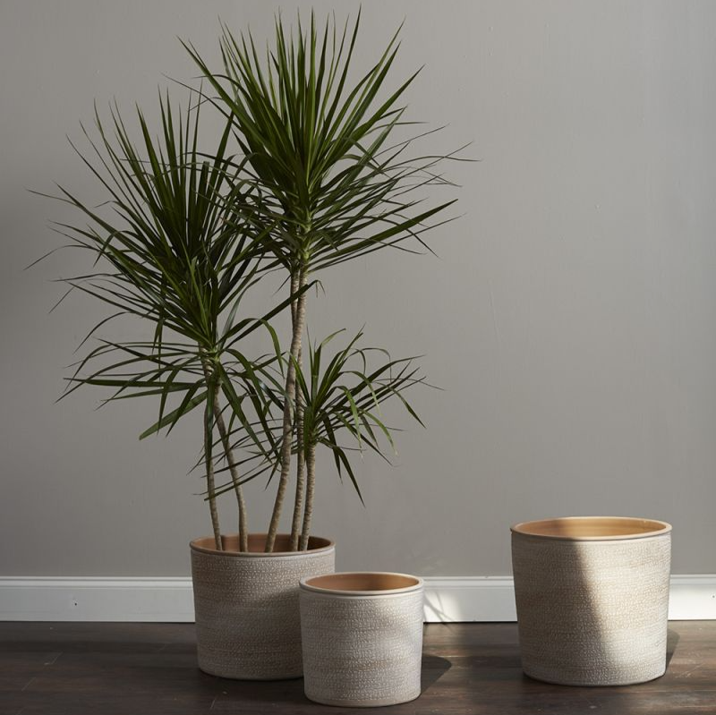 Aleppo Planter | 10 inch Nursery Pot — empty planter, studio photo — planter for sale by Promise Supply for delivery and pickup in Toronto.