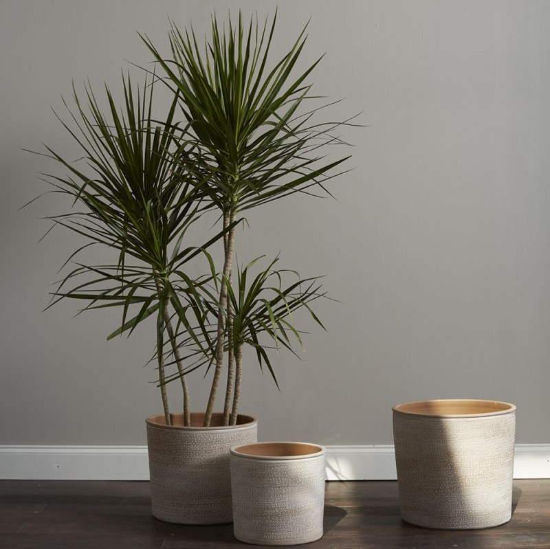 Aleppo Planter Fits up to 12" Nursery Pot