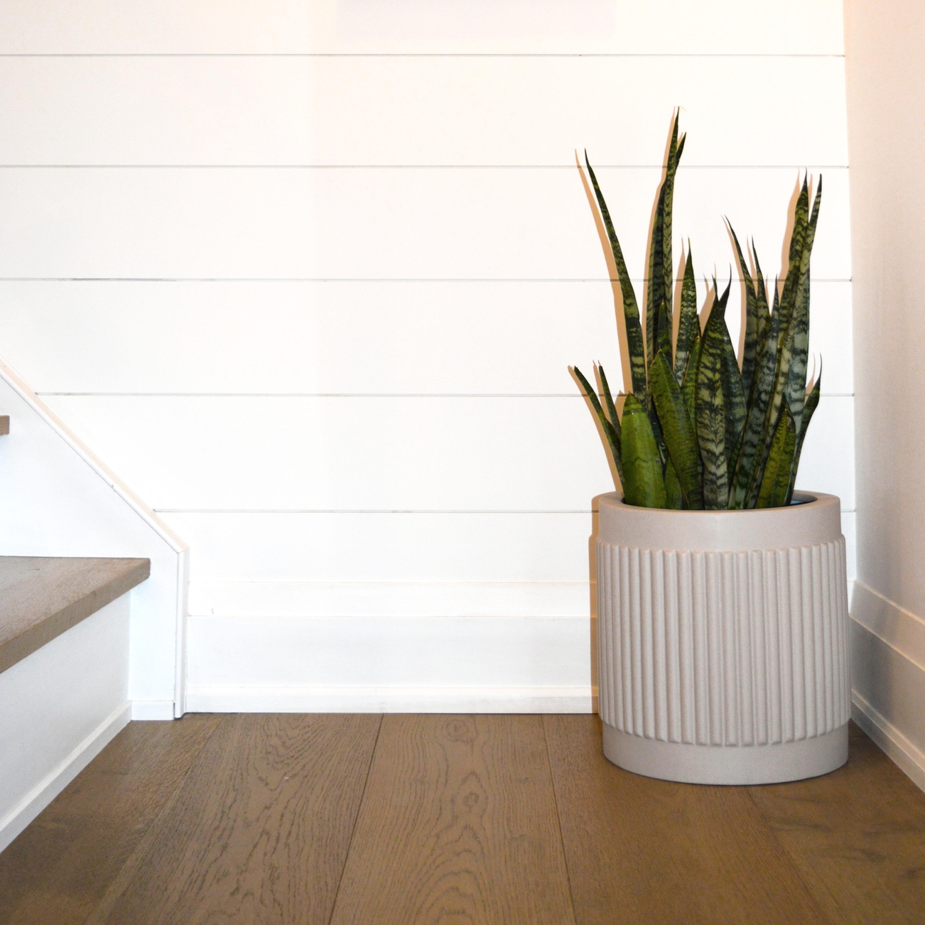 Fluted Cylinder Planter | Fits up to 14" Nursery Pot