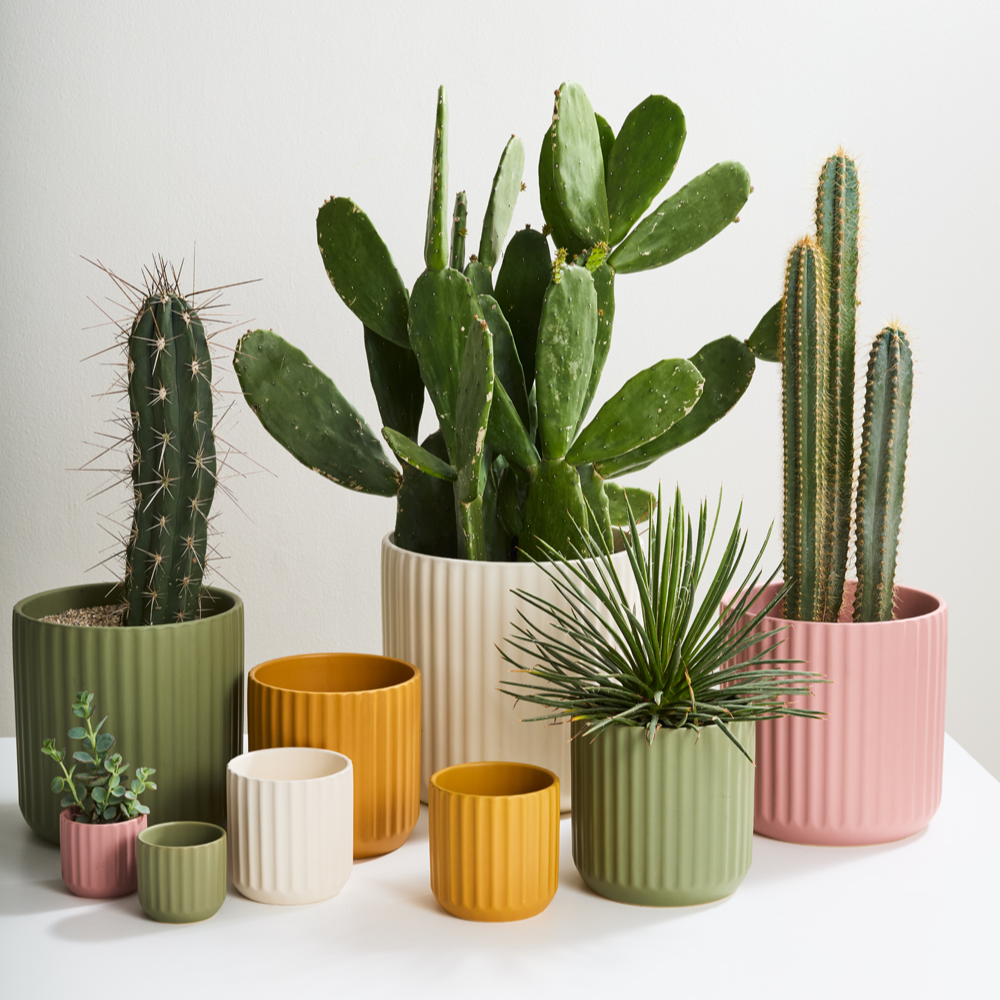 Ribbed Beam Planter | 10 inch Nursery Pot