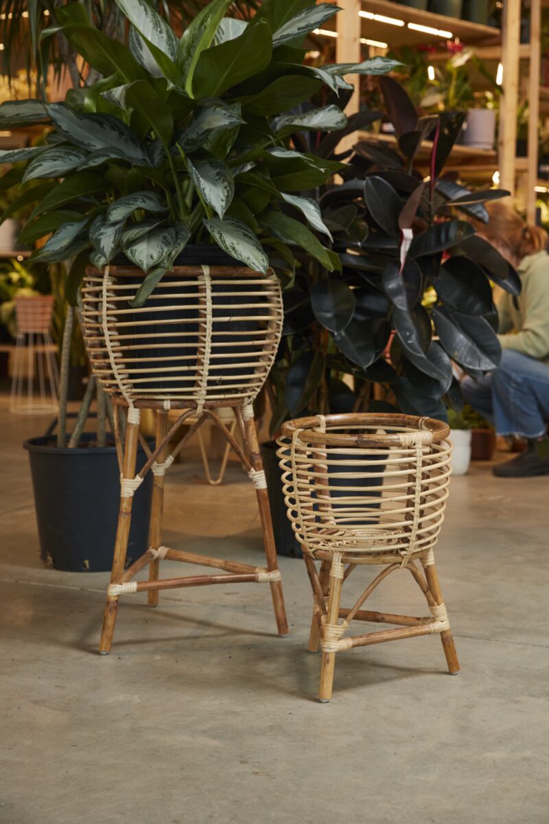 Clancy Bamboo Plant Stand | 10 inch Nursery Pot — empty planter, studio photo — planter for sale by Promise Supply for delivery and pickup in Toronto.