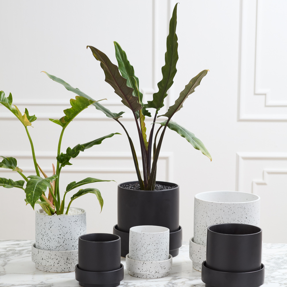 Claxton Black Planter with Drainage and Tray | 8 inch Diameter — with matching saucer, studio photo — planter for sale by Promise Supply for delivery and pickup in Toronto.