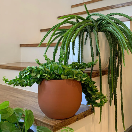 Cibele White Ceramic Planter | 14 inch Nursery Pot