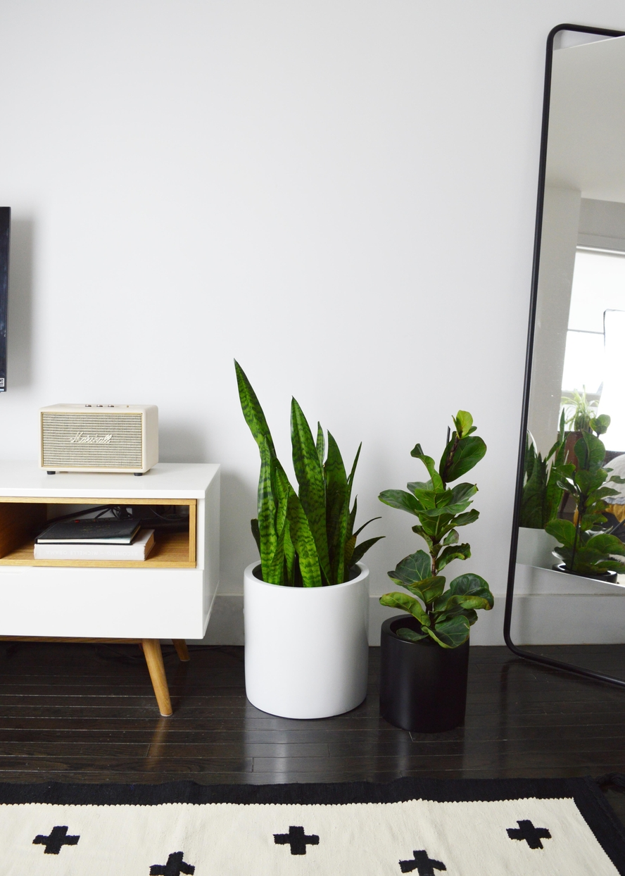 Essential Cylinder Planter | 14 inch Nursery Pot — empty planter, studio photo — planter for sale by Promise Supply for delivery and pickup in Toronto.