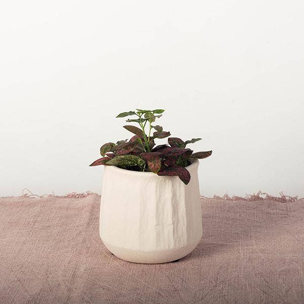 Embossed Ceramic Planter | 4 inch Nursery Pot