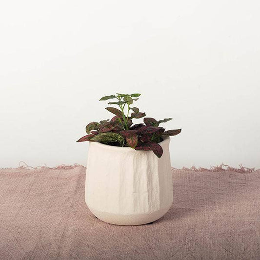 Embossed Ceramic Pot Fits up to 4 inch Nursery Pot