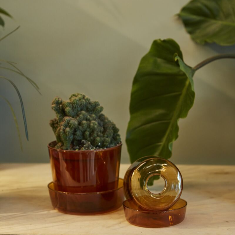 Glass Pot with Drainage and Tray | 6 inch Diameter — empty planter, studio photo — planter for sale by Promise Supply for delivery and pickup in Toronto.