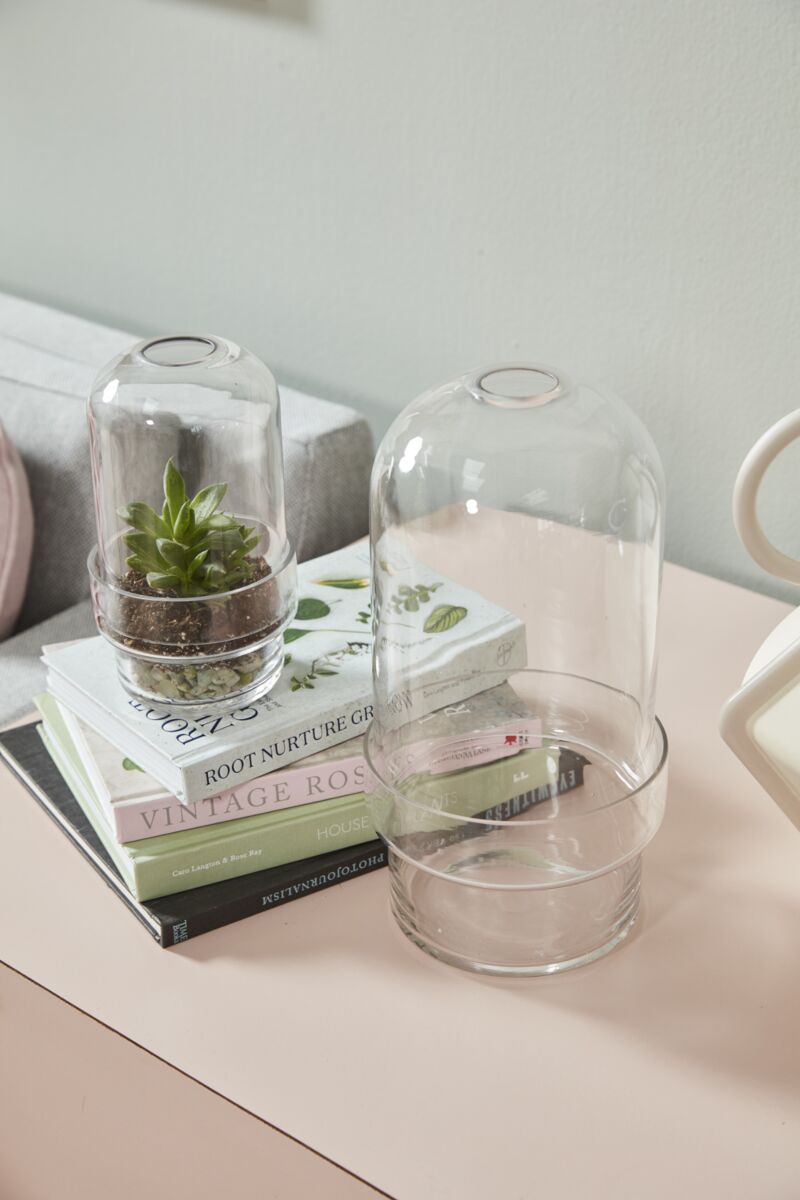 Griffith Glass Terrarium | 6 inch Diameter — empty planter, studio photo — planter for sale by Promise Supply for delivery and pickup in Toronto.