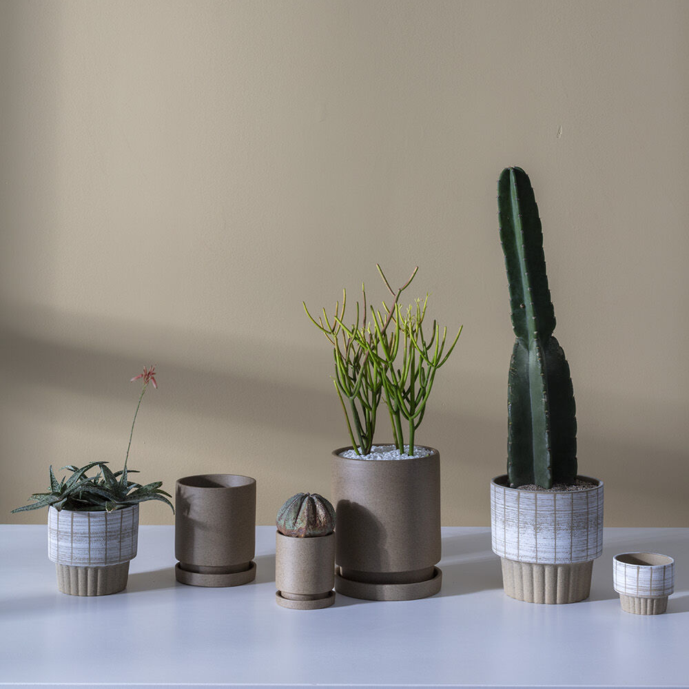 Imogen Tan Ceramic Planter with Drainage and Tray | 5 inch Diameter — empty planter, ceramic planter, studio photo — planter for sale by Promise Supply for delivery and pickup in Toronto.