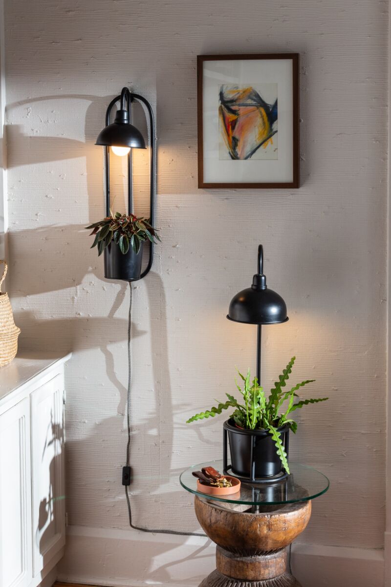 Kira Black Pot and Grow Light Stand | 6 inch Nursery pot