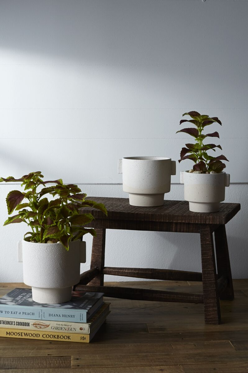 Milton Textured Off White Planter | 4 inch Nursery Pot