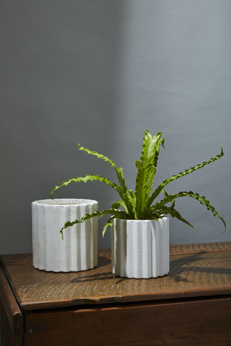 Monticello Planter | 4 inch Nursery Pot