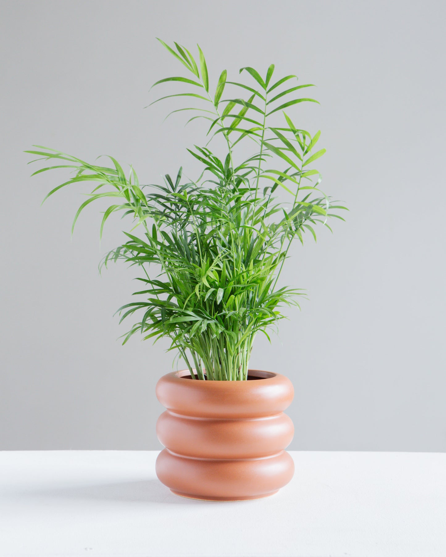 Bubble Ceramic Pot | 5 inch Nursery Pot — empty planter, ceramic planter, studio photo — planter for sale by Promise Supply for delivery and pickup in Toronto.