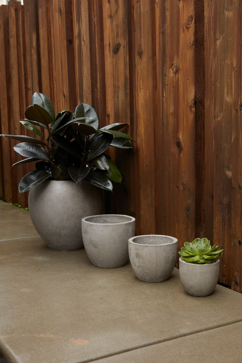 Newport Oversized Concrete Pot | 12 inch Nursery Pot