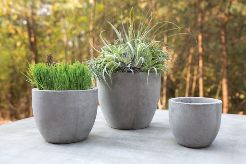 Newport Concrete Round Planter | 5 inch Nursery Pot — empty planter, concrete planter, studio photo — planter for sale by Promise Supply for delivery and pickup in Toronto.