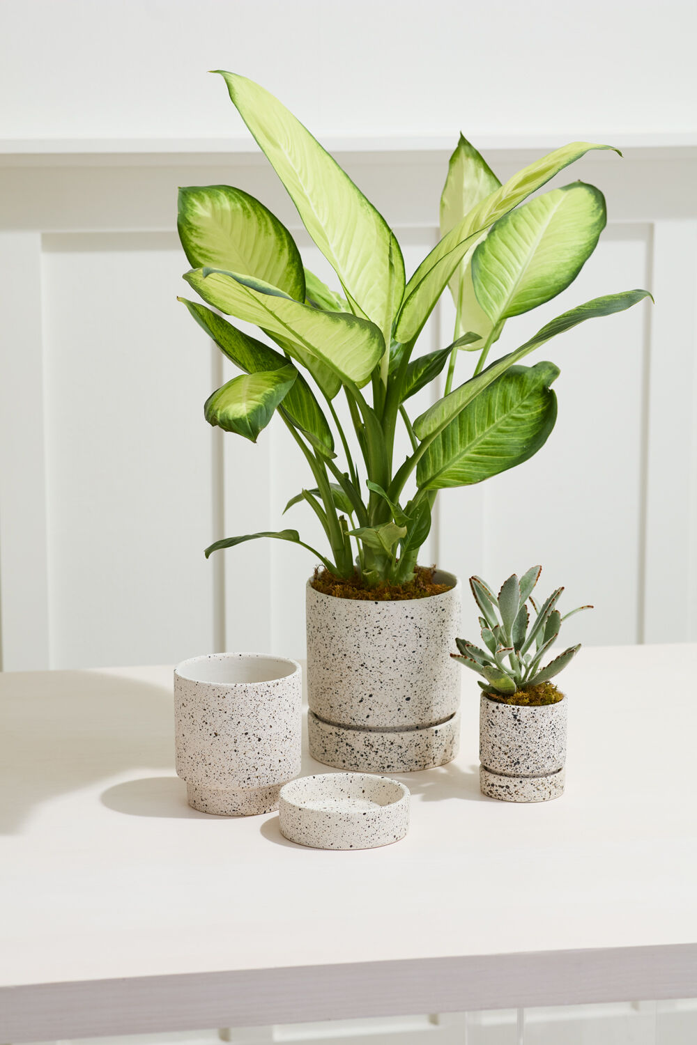 Nisha Speckled Planter with Drainage and Tray | 5 Inch Diameter — empty planter, studio photo — planter for sale by Promise Supply for delivery and pickup in Toronto.