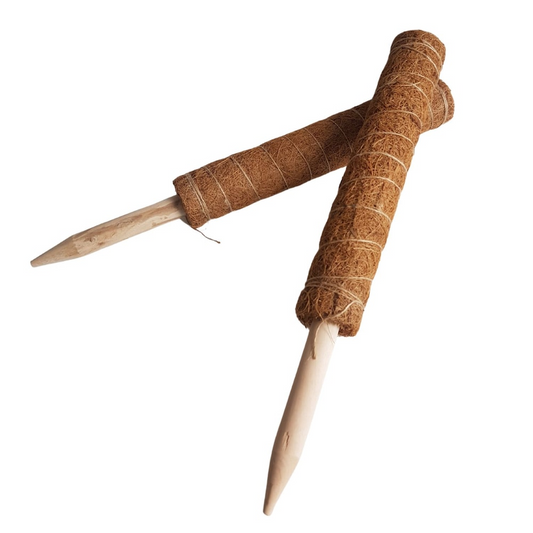Stackable Coconut Coir Stakes for Plant Support (2 pack) - 16 inch — Supports product on white background — for sale by Promise Supply for delivery and pickup in Toronto.