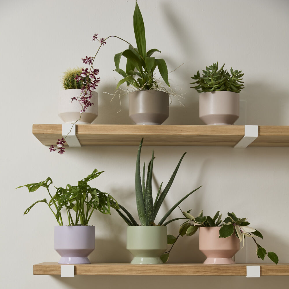 Pasadena Vase Planter | 5 inch Nursery Pot