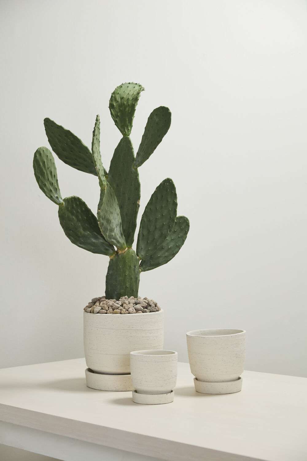 Salvage Natural Planter with Drainage and Tray | 10 Inch Diameter — with matching saucer, studio photo — planter for sale by Promise Supply for delivery and pickup in Toronto.