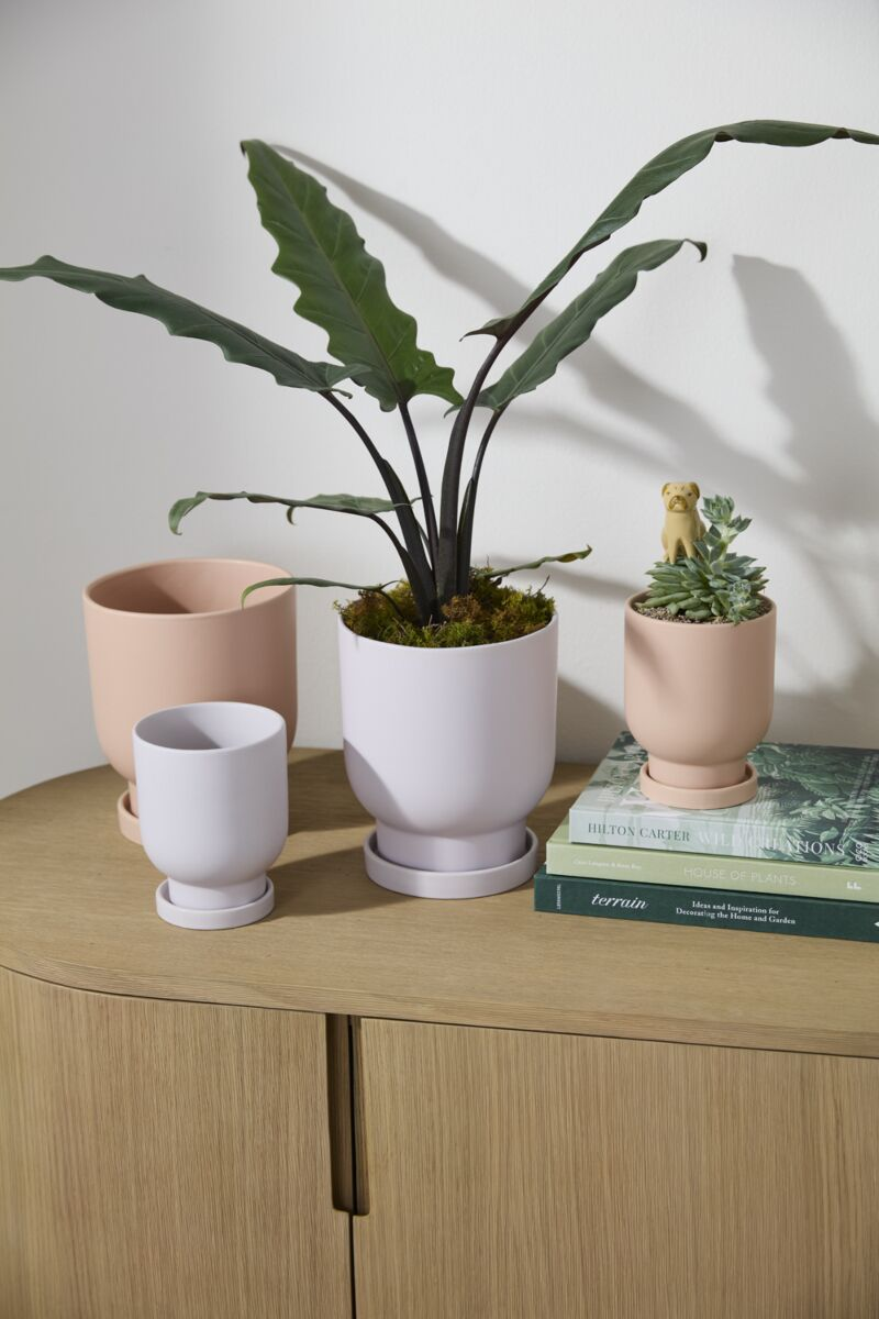 Tarrytown Peach Pot with Drainage and Tray | 4 inch Diameter — with matching saucer, studio photo — planter for sale by Promise Supply for delivery and pickup in Toronto.