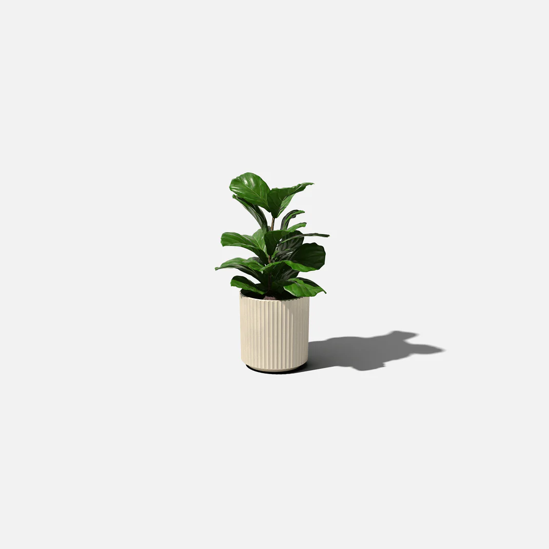 Mason Demi Planter | 20 inch — empty planter, studio photo — planter for sale by Promise Supply for delivery and pickup in Toronto.