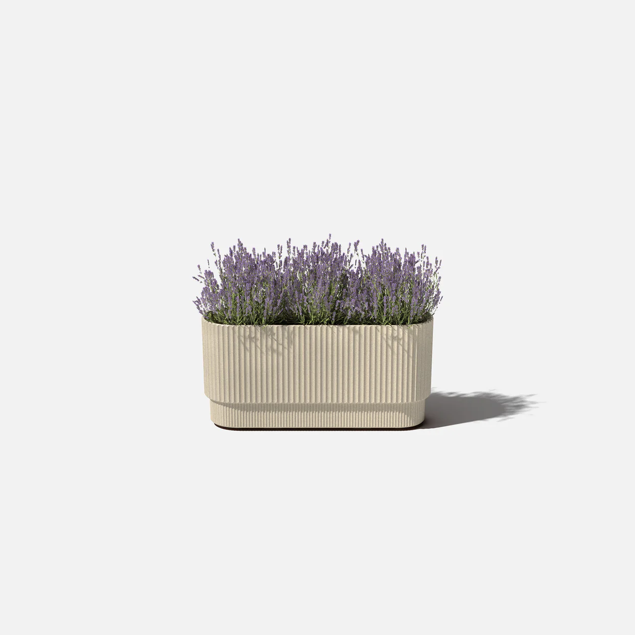 Mason Demi Long Planter | 30 inch — empty planter, studio photo — planter for sale by Promise Supply for delivery and pickup in Toronto.