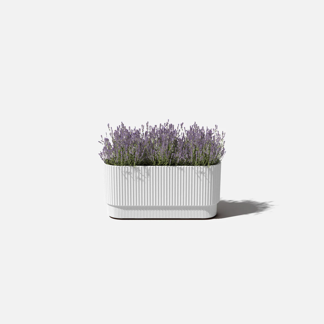 Mason Demi Long Planter | 30 inch — empty planter, studio photo — planter for sale by Promise Supply for delivery and pickup in Toronto.