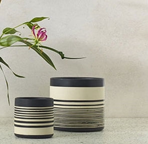 Sinclair Striped Planter | 4 inch Nursery Pot