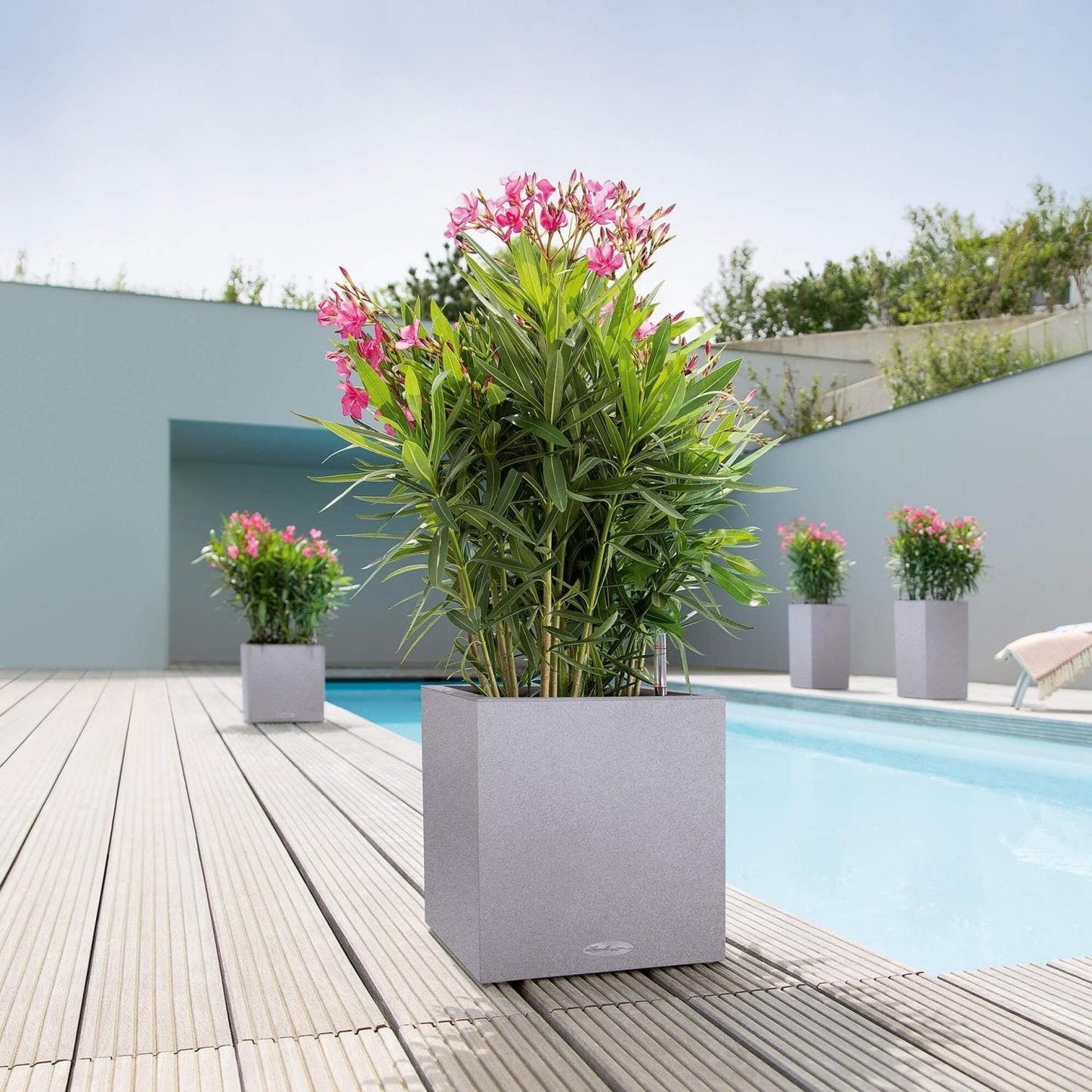 LECHUZA CANTO Stone High Poly Resin | Low Floor Planter — empty planter, studio photo — planter for sale by Promise Supply for delivery and pickup in Toronto.