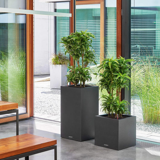 LECHUZA CANTO Stone High Poly Resin | Tall Floor Planter — empty planter, studio photo — planter for sale by Promise Supply for delivery and pickup in Toronto.