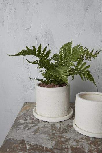 Easton Planter with Drainage and Tray | 5 inch Diameter — empty planter, studio photo — planter for sale by Promise Supply for delivery and pickup in Toronto.