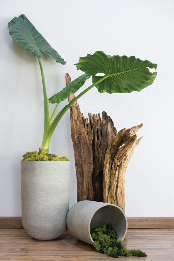 Seaport Planter | 14 inch Nursery Pot — empty planter, studio photo — planter for sale by Promise Supply for delivery and pickup in Toronto.