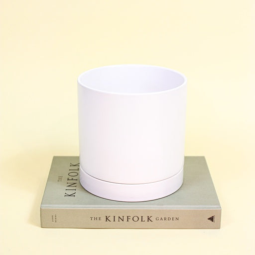 Romey Ceramic Pot with Drainage and Tray in 6 inch Diameter