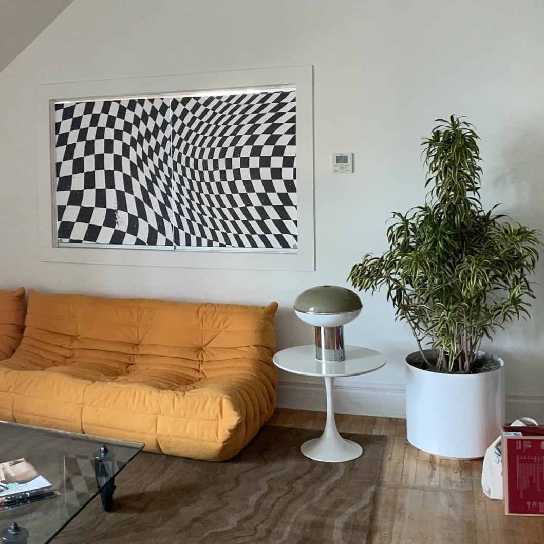 Song of India Cane: Dracaena reflexa - 14 inch pot - 5 foot tall — indoor plant — indoor plant for sale by Promise Supply for delivery and pickup in Toronto.