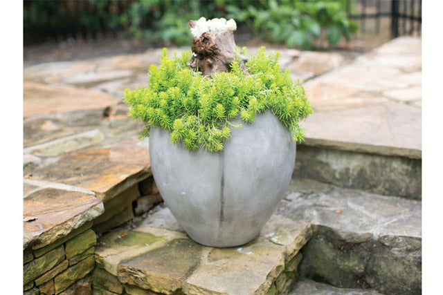 Newport Oversized Concrete Pot in 16” Diameter