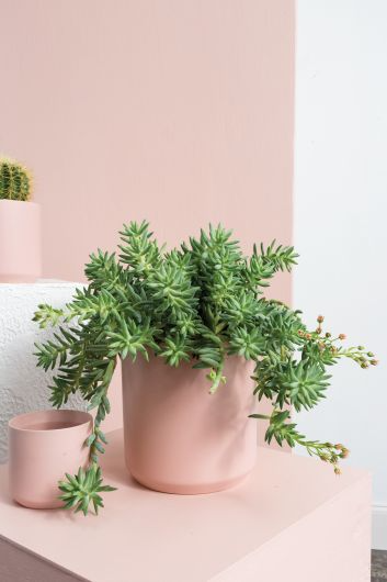 Kendall Ceramic Pot | 8 inch Nursery Pot — empty planter, ceramic planter, studio photo — planter for sale by Promise Supply for delivery and pickup in Toronto.