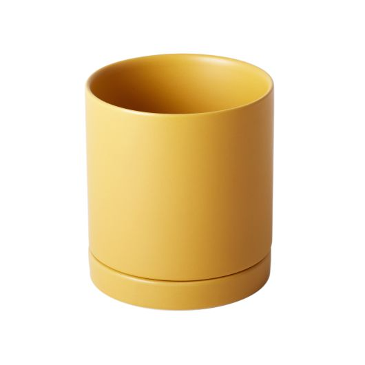 Romey Ceramic Pot with Drainage and Tray in 6 inch Diameter