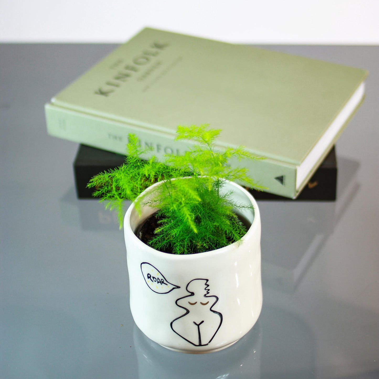Asparagus Fern (Asparagus setaceus) in a 4 inch pot. Indoor plant for sale by Promise Supply for delivery and pickup in Toronto