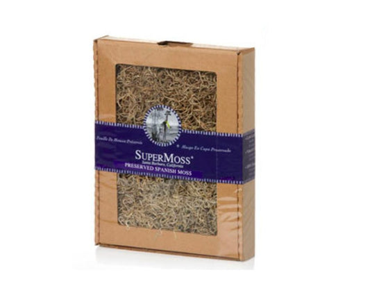 Preserved Spanish Moss Display Box 4oz "Natural" Decorative Moss