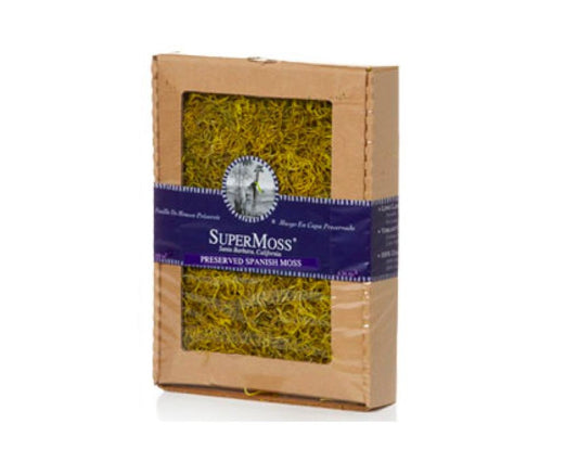 Preserved Spanish Moss Display Box 4oz "Chartreuse" Decorative Moss