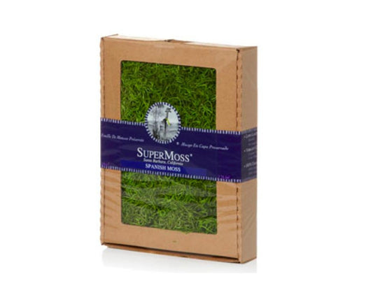 Preserved Spanish Moss Display Box 4oz "Hunter Green" Decorative Moss