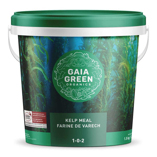 Gaia Green Kelp Meal 1.5KG in 1-0-2 Ratio — Fertilizer product on white background — for sale by Promise Supply for delivery and pickup in Toronto.