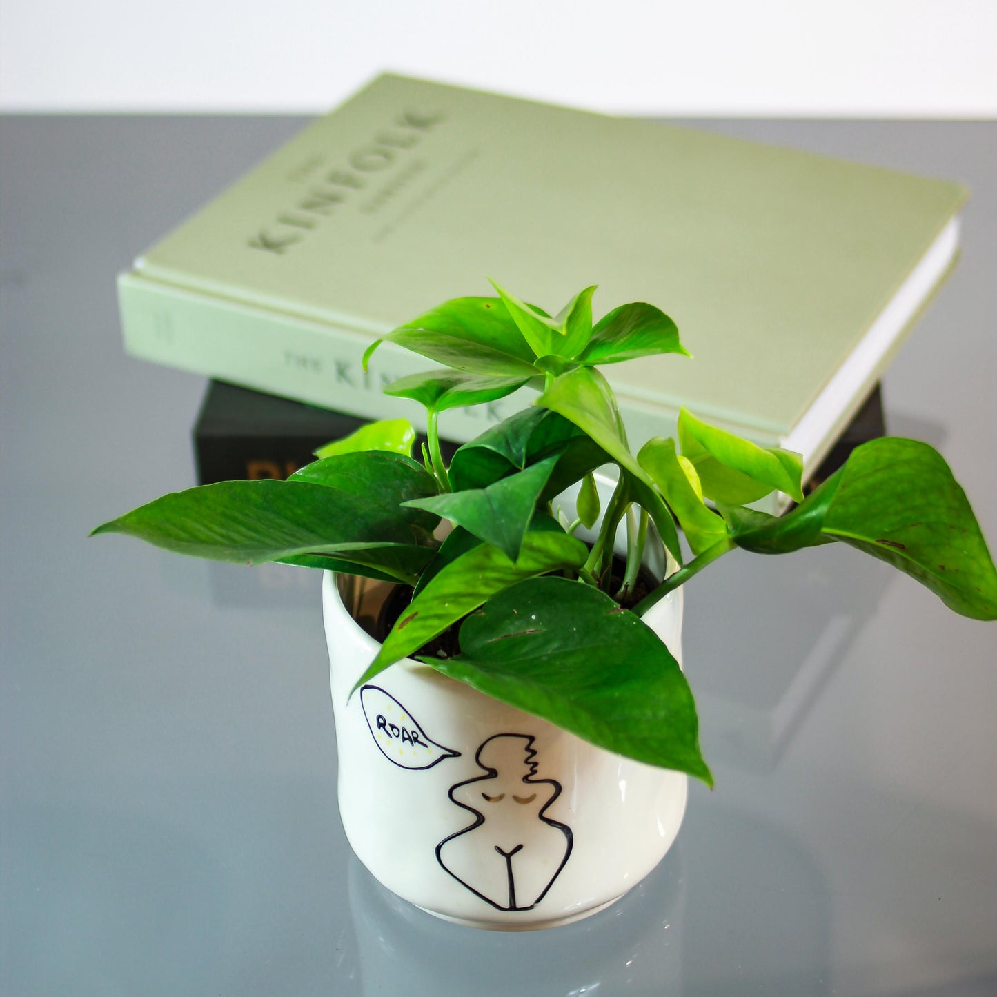 Jade Pothos (Epipremnum aureum 'Jade') in a 4 inch pot. Indoor plant for sale by Promise Supply for delivery and pickup in Toronto