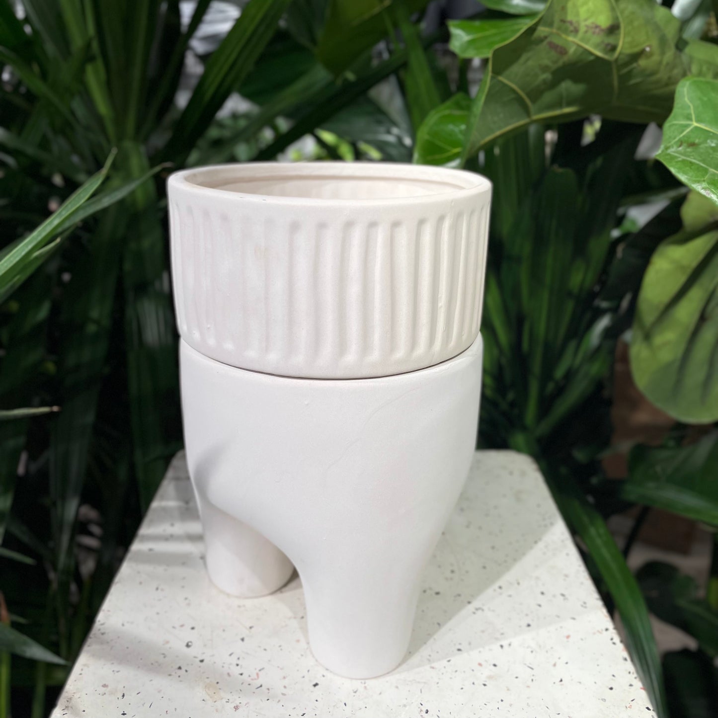 Dash White Shallow Tall Planter with Drainage and Legs | 6 inch — empty planter, studio photo — planter for sale by Promise Supply for delivery and pickup in Toronto.