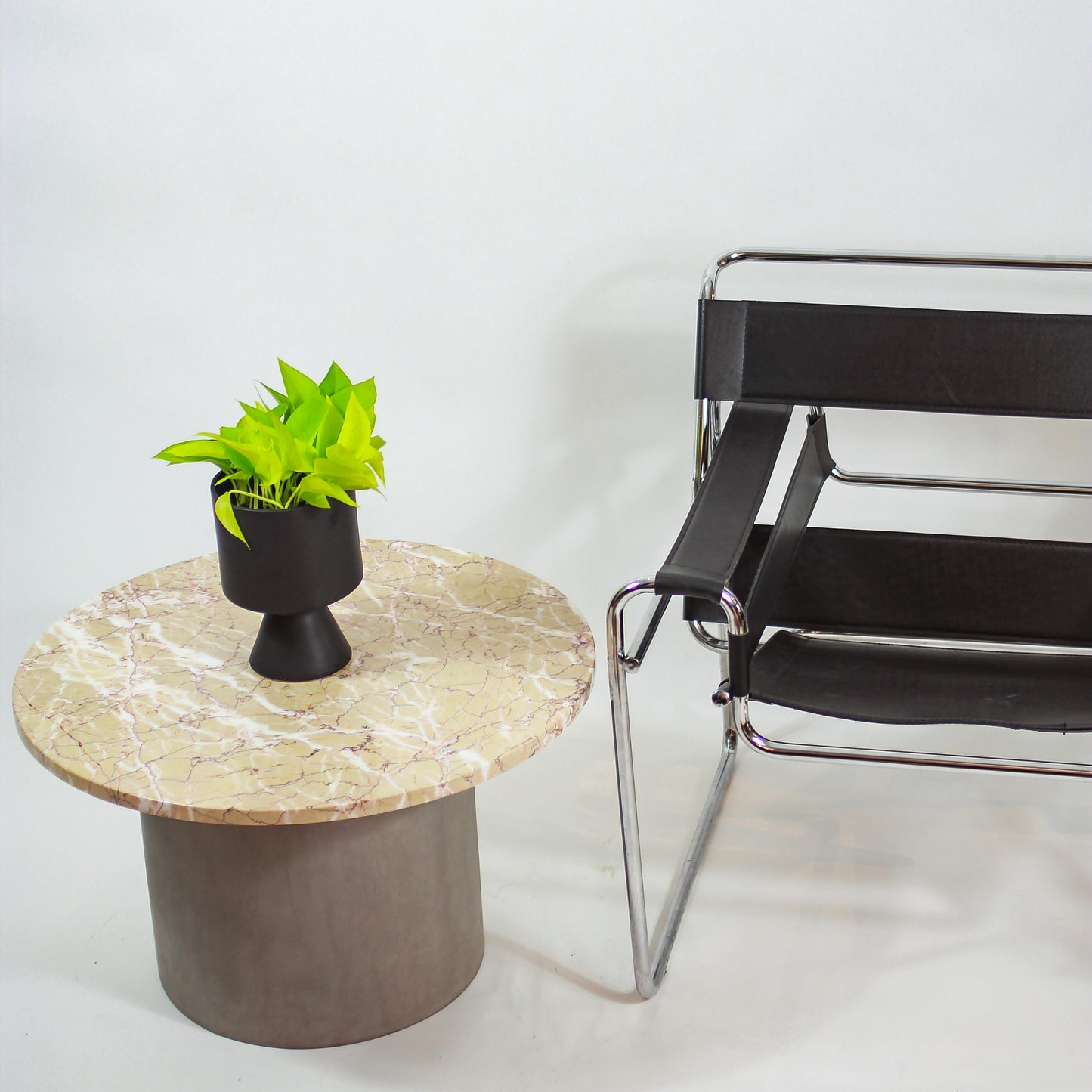 Neon Pothos: Epipremnum aureum - 6 inch pot — plant in pot — indoor plant for sale by Promise Supply for delivery and pickup in Toronto.