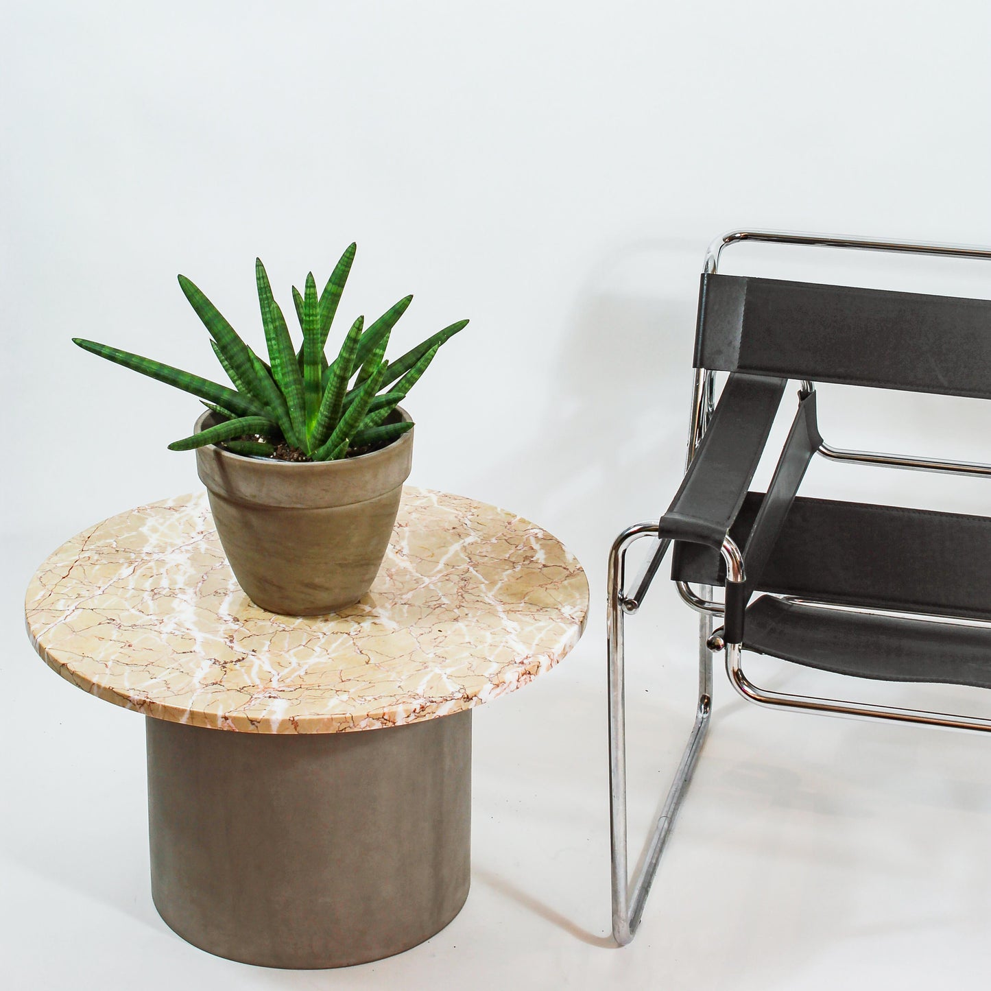 Snake Plant (Sansevieria cylindrica) in a 8 inch pot. Indoor plant for sale by Promise Supply for delivery and pickup in Toronto
