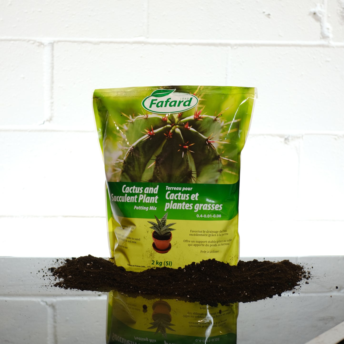 Fafard Succulent and Cactus Soil Mix 1KG